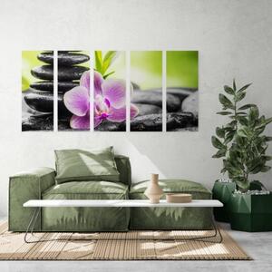 5-dielny obraz tropická Zen kompozícia - 100x50