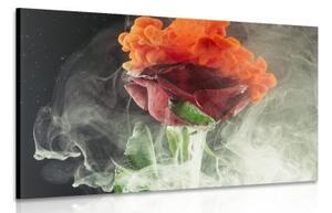 Obraz ruža s abstraktnými prvkami - 60x40