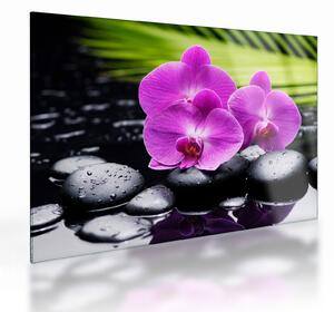 Sklenený obraz - Orchidey (70x50 cm)
