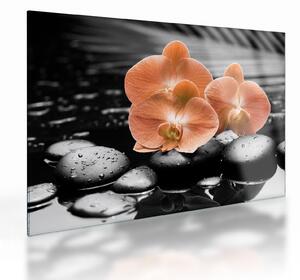 Sklenený obraz - Oranžové orchidey (70x50 cm)