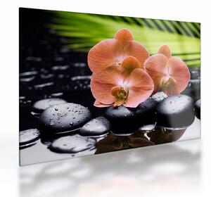 Sklenený obraz - Oranžová orchidea s palmovými listami (70x50 cm)