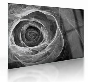 Sklenený obraz - Abstraktné ruže čiernobiela (70x50 cm)