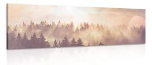 Obraz hmla nad lesom - 120x40