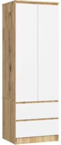 Skriňa STAR S 60 cm 2D 2SZ dub artisan / biela