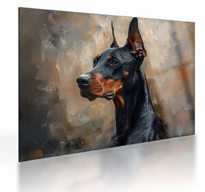 Sklenený obraz - Portrét Dobermana (70x50 cm)