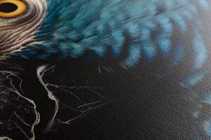 Obraz modro-zlatý papagáj - 40x60