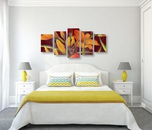5-dielny obraz prebudenie oranžovej ľalie - 100x50
