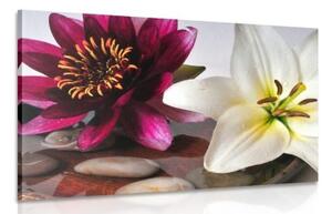Obraz kvety v miske so Zen kameňmi - 120x80