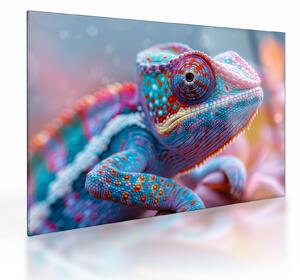 Sklenený obraz - Sfarbený chameleón (70x50 cm)