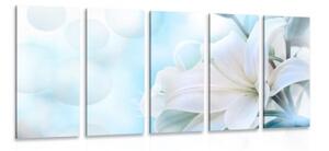 5-dielny obraz biely kvet ľalie na abstraktnom pozadí - 100x50