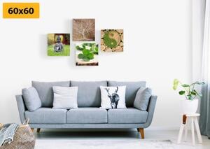 Set obrazov Feng Shui s prvkami prírody - 4x 40x40