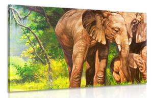 Obraz slonia rodinka - 120x80