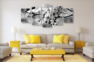 5-dielny obraz čerešňový kvet v čiernobielom prevedení - 100x50