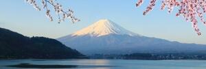 Obraz výhľad na horu Fuji - 120x40