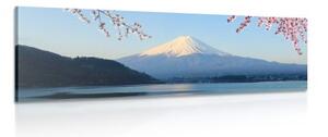 Obraz výhľad na horu Fuji - 150x50