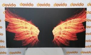 Obraz ohnivé anjelské krídla - 100x50