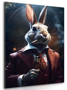 Obraz zvierací gangster zajac - 40x60