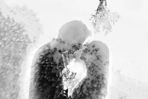 Obraz zamilovaný pár pod imelom v čiernobielom prevedení - 60x40