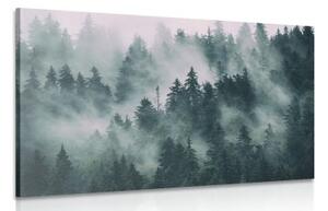 Obraz hory v hmle - 60x40