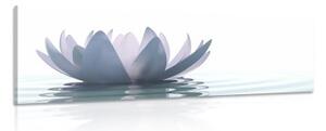 Obraz lotosový kvet - 150x50
