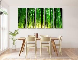 5-dielny obraz svieži zelený les - 100x50