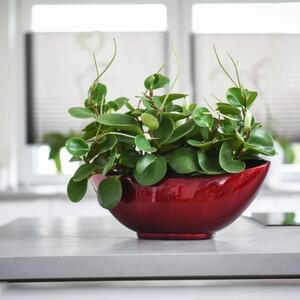 Miska MONDANA, sklolaminát, šírka 39 cm, červeno-čierna