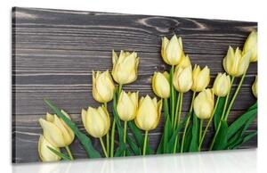 Obraz očarujúce žlté tulipány na drevenom podklade - 90x60