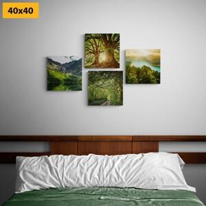 Set obrazov nádherná zelená príroda - 4x 40x40