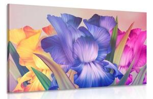 Obraz kvetinová fantázia - 120x80