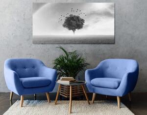 Obraz osamelý strom na lúke v čiernobielom prevedení - 100x50