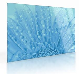 Sklenený obraz - Makro záber kvetu (70x50 cm)