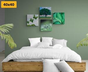 Set obrazov príroda plná zelene - 4x 40x40