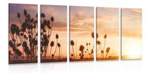 5-dielny obraz steblá trávy pri východe slnka - 100x50