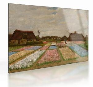 Sklenený obraz - Vincent van Gogh, Flower Beds in Holland, reprodukcia (70x50 cm)