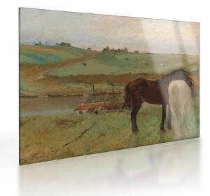 Sklenený obraz - Edgar Degas, Horses in a Meadow, reprodukcia (70x50 cm)