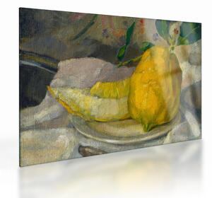 Sklenený obraz - French 19th Century, Melon and Lemon, reprodukcia (70x50 cm)