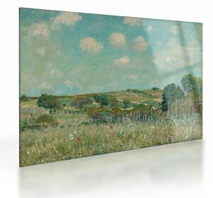 Sklenený obraz - Alfred Sisley, Meadow, reprodukcia (70x50 cm)