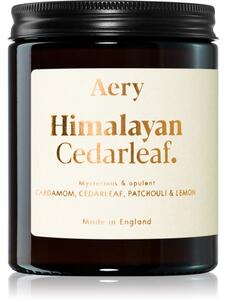 Aery Fernweh Himalyan Cedarleaf vonná sviečka 140 g
