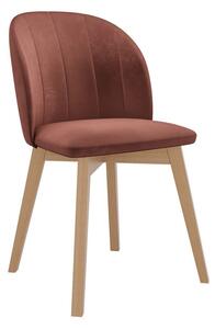 Mirjan24 Čalúnená jedálenská stolička ST100, Farby: natura, Potah: Magic Velvet 2258 5903211142444