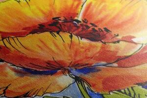 Obraz kytica makových kvetov - 60x40