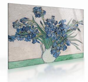 Sklenený obraz - Vincent van Gogh, Irises, reprodukcia (70x50 cm)