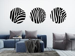 Nalepte.cz Kruhy motív zebra nálepky na stenu 3 ks kruh každý 20 x 20 cm