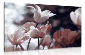 Obraz jarné tulipány v parku - 120x80