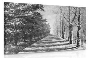 Obraz jesenná alej stromov v čiernobielom prevedení - 120x80