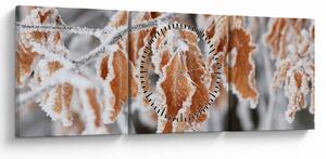 Obraz - Zamrznuté listy (s hodinami) (90x30 cm)