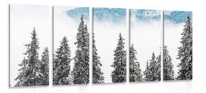 5-dielny obraz zasnežené borovicové stromy - 100x50