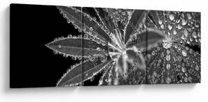 Obraz - Listy s kvapkami (s hodinami) (90x30 cm)
