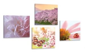 Set obrazov rozkvet prírody - 4x 40x40