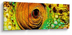 Obraz - Chameleon (s hodinami) (90x30 cm)
