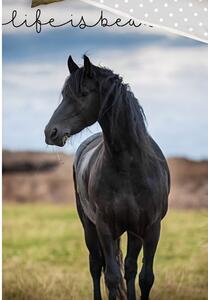 Bavlnené obliečky Čierny Mustang 140x200/70x90 cm